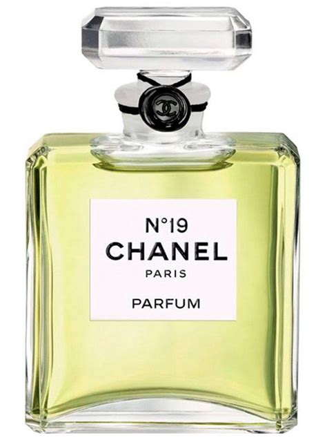 Chanel no 19 perfume